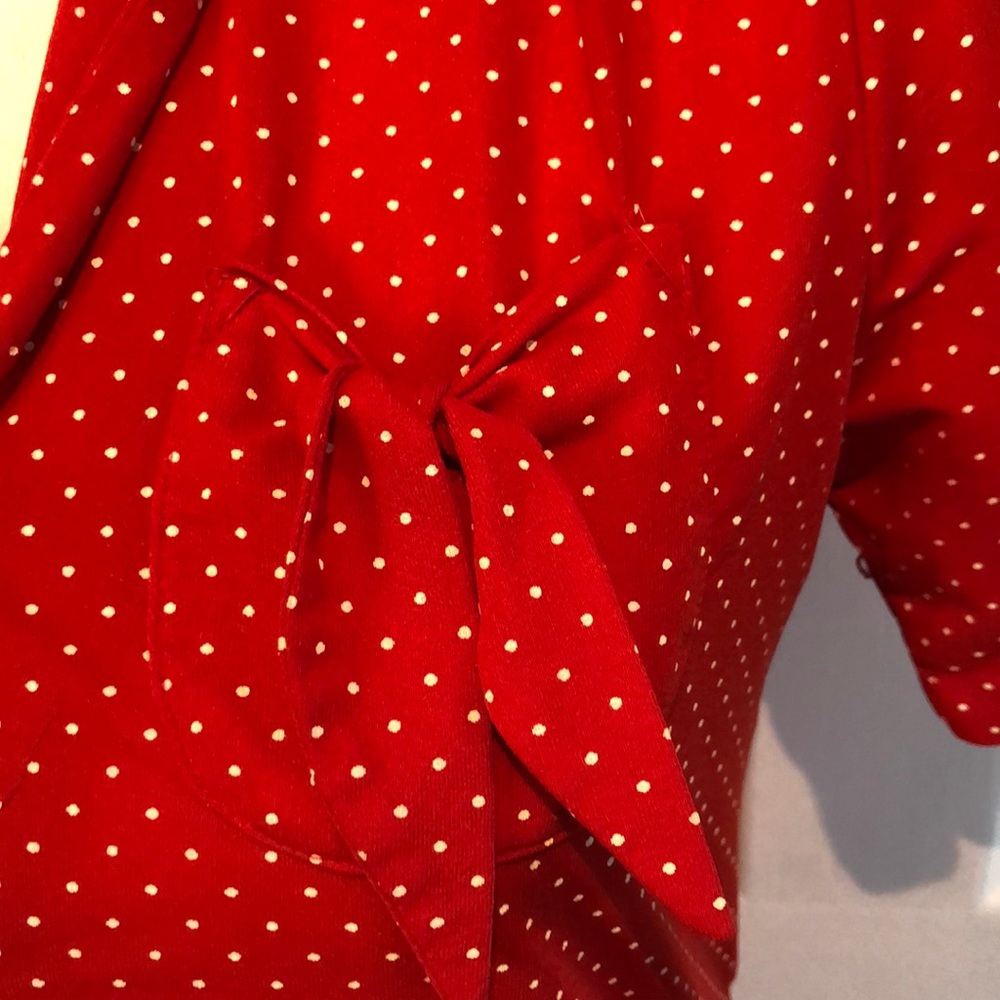 Polka dot Vintage Top - Picture 3 of 6